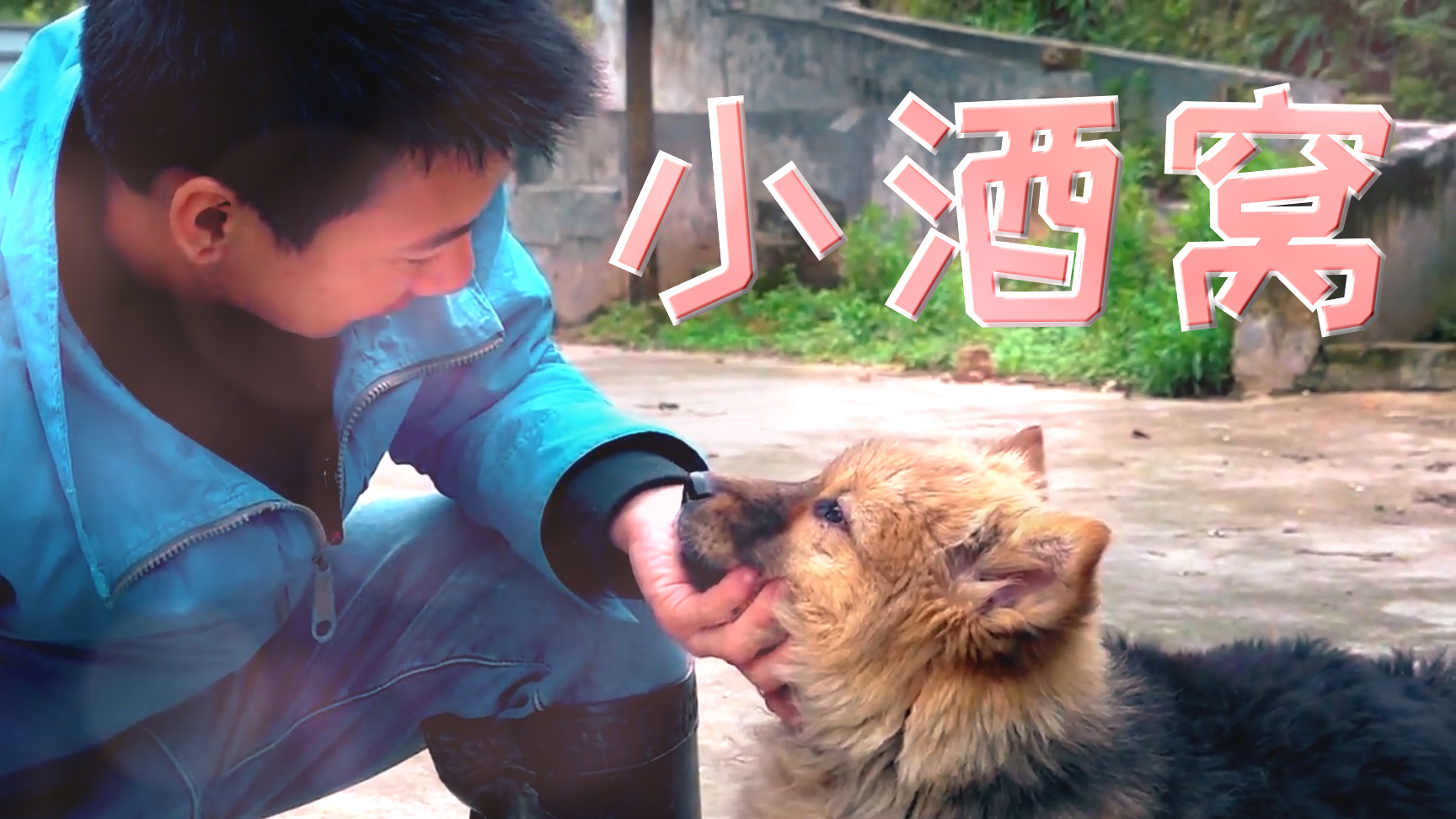 【华农兄弟】小狗窝(小酒窝)